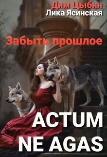 Actum ne agas. Забыть прошлое (СИ) - Ясинская Лика - Читать 📖 Читать онлайн 👀 Читаемые книги читать онлайн бесплатно 🔥 booksread-online.com