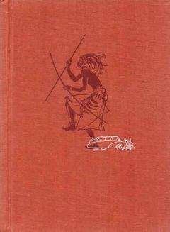 Иржи Ганзелка - Африка грёз и действительности (Том 3) - Читать 📖 Читать онлайн 👀 Читаемые книги читать онлайн бесплатно 🔥 booksread-online.com