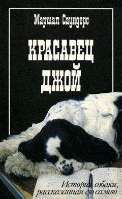 Маршал Саундерс - Красавец Джой - Читать 📖 Читать онлайн 👀 Читаемые книги читать онлайн бесплатно 🔥 booksread-online.com