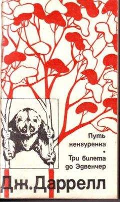 Джеральд Даррел - Три билета до Эдвенчер. Путь кенгуренка. - Читать 📖 Читать онлайн 👀 Читаемые книги читать онлайн бесплатно 🔥 booksread-online.com