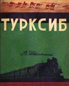 Виктор Шкловский - Турксиб - Читать 📖 Читать онлайн 👀 Читаемые книги читать онлайн бесплатно 🔥 booksread-online.com