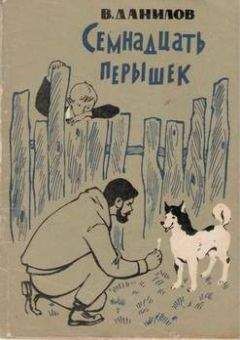 Владимир Данилов - Семнадцать перышек - Читать 📖 Читать онлайн 👀 Читаемые книги читать онлайн бесплатно 🔥 booksread-online.com