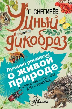 Геннадий Снегирев - Умный дикобраз. С вопросами и ответами для почемучек - Читать 📖 Читать онлайн 👀 Читаемые книги читать онлайн бесплатно 🔥 booksread-online.com