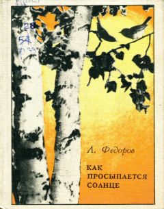 Леонид Фёдоров - Как просыпается Солнце - Читать 📖 Читать онлайн 👀 Читаемые книги читать онлайн бесплатно 🔥 booksread-online.com