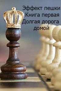 Эффект пешки. Книга первая. Долгая дорога домой (СИ) - Софроний Валерий Иванович - Читать 📖 Читать онлайн 👀 Читаемые книги читать онлайн бесплатно 🔥 booksread-online.com