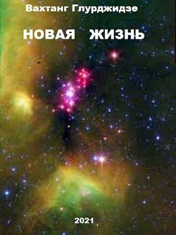 Новая жизнь (СИ) - Глурджидзе Вахтанг "Вахо Глу" - Читать | Читать онлайн | Читаемые книги читать онлайн бесплатно | booksread-online.com
