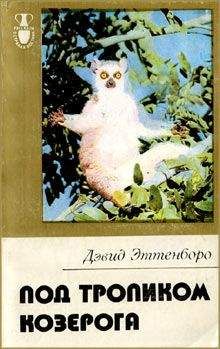 Дэвид Эттенборо - Мадагаскарские диковины - Читать 📖 Читать онлайн 👀 Читаемые книги читать онлайн бесплатно 🔥 booksread-online.com