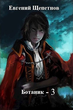Поводырь (СИ) - Щепетнов Евгений Владимирович - Читать 📖 Читать онлайн 👀 Читаемые книги читать онлайн бесплатно 🔥 booksread-online.com
