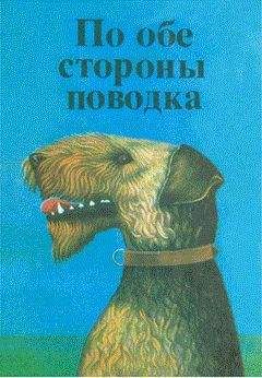 Гарри Блэк - Последняя пурга Оскара - Читать 📖 Читать онлайн 👀 Читаемые книги читать онлайн бесплатно 🔥 booksread-online.com