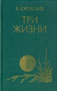 Василий Юровских - Три жизни - Читать 📖 Читать онлайн 👀 Читаемые книги читать онлайн бесплатно 🔥 booksread-online.com
