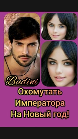Охомутать Императора на Новый Год! (СИ) - "Budini" - Читать | Читать онлайн | Читаемые книги читать онлайн бесплатно | booksread-online.com