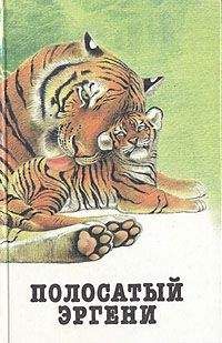 М. Алазанцев - Грозный отшельник - Читать 📖 Читать онлайн 👀 Читаемые книги читать онлайн бесплатно 🔥 booksread-online.com