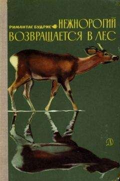 Римантас Будрис - Нежнорогий возвращается в лес - Читать 📖 Читать онлайн 👀 Читаемые книги читать онлайн бесплатно 🔥 booksread-online.com