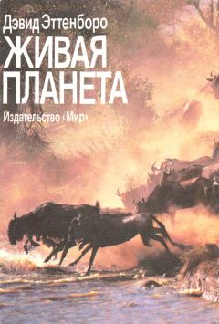 Дэвид Эттенборо - Живая планета - Читать 📖 Читать онлайн 👀 Читаемые книги читать онлайн бесплатно 🔥 booksread-online.com