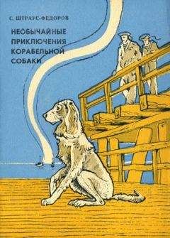 Станислав Штраус-Федоров - Необычайные приключения корабельной собаки - Читать 📖 Читать онлайн 👀 Читаемые книги читать онлайн бесплатно 🔥 booksread-online.com