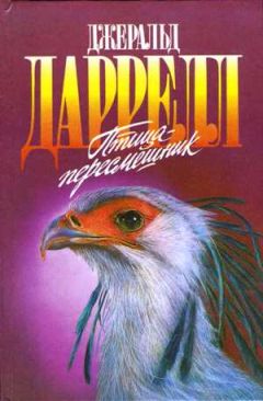 Джеки Даррелл - Мама на выданье - Читать 📖 Читать онлайн 👀 Читаемые книги читать онлайн бесплатно 🔥 booksread-online.com