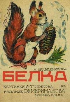 Александра Праведникова - Белка - Читать 📖 Читать онлайн 👀 Читаемые книги читать онлайн бесплатно 🔥 booksread-online.com