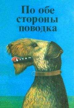 Дитрих Росс - Фернандо, совсем необычный пес - Читать 📖 Читать онлайн 👀 Читаемые книги читать онлайн бесплатно 🔥 booksread-online.com