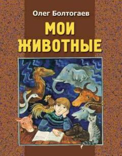 Олег Болтогаев - Ёжики моего детства - Читать 📖 Читать онлайн 👀 Читаемые книги читать онлайн бесплатно 🔥 booksread-online.com