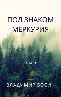Под знаком Меркурия (СИ) - Босин Владимир Георгиевич "VladimirB" - Читать 📖 Читать онлайн 👀 Читаемые книги читать онлайн бесплатно 🔥 booksread-online.com