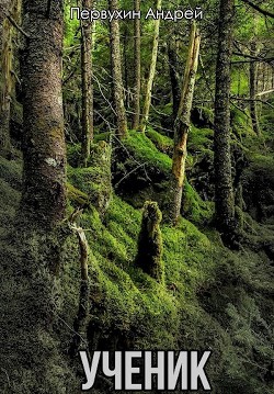 Ученик. Книга вторая (СИ) - Первухин Андрей Евгеньевич - Читать | Читать онлайн | Читаемые книги читать онлайн бесплатно | booksread-online.com