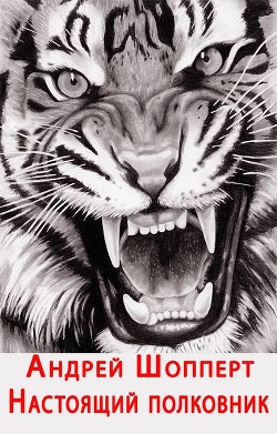 Настоящий полковник (СИ) - Шопперт Андрей Готлибович - Читать 📖 Читать онлайн 👀 Читаемые книги читать онлайн бесплатно 🔥 booksread-online.com