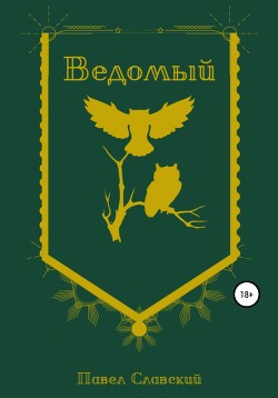 Ведомый (СИ) - Павел Славский - Читать | Читать онлайн | Читаемые книги читать онлайн бесплатно | booksread-online.com