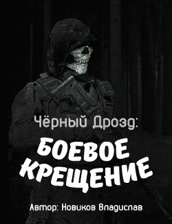 Чёрный дрозд: Боевое крещение (СИ) - Новиков Владислав - Читать | Читать онлайн | Читаемые книги читать онлайн бесплатно | booksread-online.com