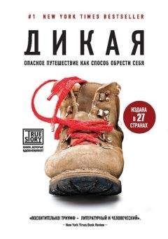 Шерил Стрэйд - Дикая - Читать 📖 Читать онлайн 👀 Читаемые книги читать онлайн бесплатно 🔥 booksread-online.com