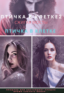 Птичка в клетке 2 (СИ) - Илина Дина - Читать 📖 Читать онлайн 👀 Читаемые книги читать онлайн бесплатно 🔥 booksread-online.com