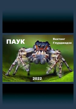 Паук (СИ) - Глурджидзе Вахтанг "Вахо Глу" - Читать 📖 Читать онлайн 👀 Читаемые книги читать онлайн бесплатно 🔥 booksread-online.com