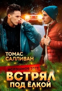 Встрял под ёлкой (СИ) - Салливан Томас - Читать | Читать онлайн | Читаемые книги читать онлайн бесплатно | booksread-online.com