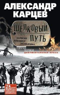 Александр Карцев - Шелковый путь. Записки военного разведчика - Читать 📖 Читать онлайн 👀 Читаемые книги читать онлайн бесплатно 🔥 booksread-online.com