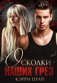 Осколки наших грез (СИ) - Прай Кэрри "Kerry" - Читать Читать онлайн Читаемые книги читать онлайн бесплатно booksread-online.com
