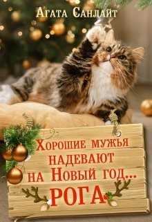 Хорошие мужья надевают на Новый год... рога (СИ) - Санлайт Агата - Читать | Читать онлайн | Читаемые книги читать онлайн бесплатно | booksread-online.com