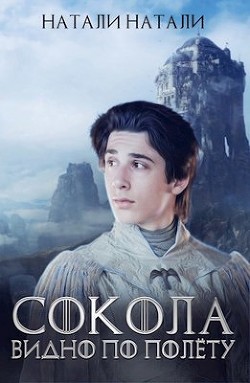 Сокола видно по полёту (СИ) - Натали Натали - Читать 📖 Читать онлайн 👀 Читаемые книги читать онлайн бесплатно 🔥 booksread-online.com