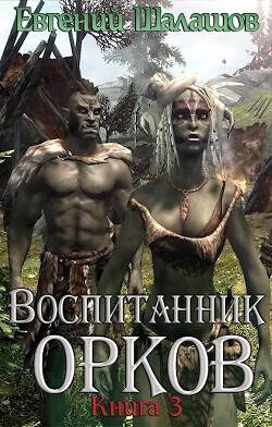 Воспитанник орков. Книга третья (СИ) - Шалашов Евгений Васильевич - Читать 📖 Читать онлайн 👀 Читаемые книги читать онлайн бесплатно 🔥 booksread-online.com