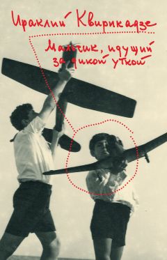 Ираклий Квирикадзе - Мальчик, идущий за дикой уткой - Читать 📖 Читать онлайн 👀 Читаемые книги читать онлайн бесплатно 🔥 booksread-online.com