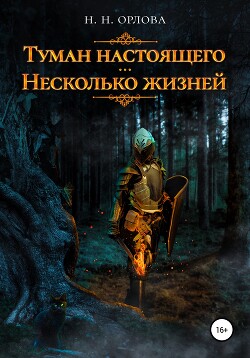 Туман настоящего. Несколько жизней - Орлова Наталья Леонидовна - Читать 📖 Читать онлайн 👀 Читаемые книги читать онлайн бесплатно 🔥 booksread-online.com