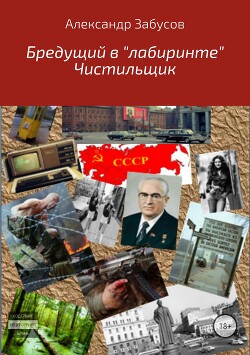 Бредущий в «лабиринте». Книга 2. Чистильщик (СИ) - Забусов Александр - Читать | Читать онлайн | Читаемые книги читать онлайн бесплатно | booksread-online.com