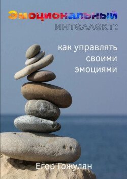 Эмоциональный интеллект. Как управлять своими эмоциями - Гожулян Егор - Читать 📖 Читать онлайн 👀 Читаемые книги читать онлайн бесплатно 🔥 booksread-online.com