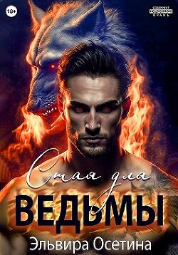 Стая для ведьмы (СИ) - Осетина Эльвира - Читать 📖 Читать онлайн 👀 Читаемые книги читать онлайн бесплатно 🔥 booksread-online.com