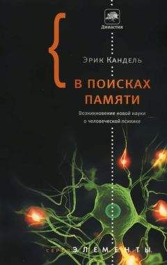 Эрик Кандель - В поисках памяти - Читать 📖 Читать онлайн 👀 Читаемые книги читать онлайн бесплатно 🔥 booksread-online.com
