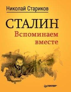 Николай Стариков - Сталин. Вспоминаем вместе - Читать 📖 Читать онлайн 👀 Читаемые книги читать онлайн бесплатно 🔥 booksread-online.com