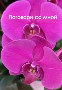 Поговори со мной (СИ) - Елисеева Виолетта - Читать | Читать онлайн | Читаемые книги читать онлайн бесплатно | booksread-online.com