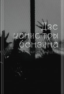 Две канистры бензина (СИ) - Зайцева Мария - Читать 📖 Читать онлайн 👀 Читаемые книги читать онлайн бесплатно 🔥 booksread-online.com