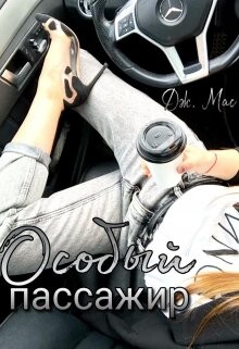 Особый пассажир (СИ) - Мас Дж. "Дж. Мас" - Читать Читать онлайн Читаемые книги читать онлайн бесплатно booksread-online.com