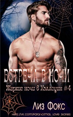 Встреча в ночи (ЛП) - Фокс Лиз - Читать 📖 Читать онлайн 👀 Читаемые книги читать онлайн бесплатно 🔥 booksread-online.com