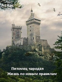 Питомец чародея. Жизнь по новым правилам. Книга 2 (СИ) - "Ал Кос" - Читать 📖 Читать онлайн 👀 Читаемые книги читать онлайн бесплатно 🔥 booksread-online.com