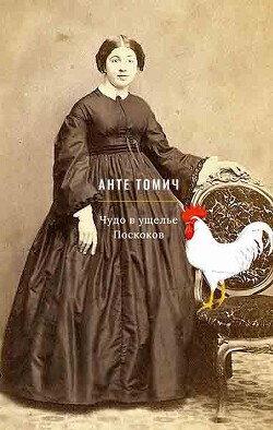 Чудо в ущелье Поскоков - Анте Томич - Читать 📖 Читать онлайн 👀 Читаемые книги читать онлайн бесплатно 🔥 booksread-online.com